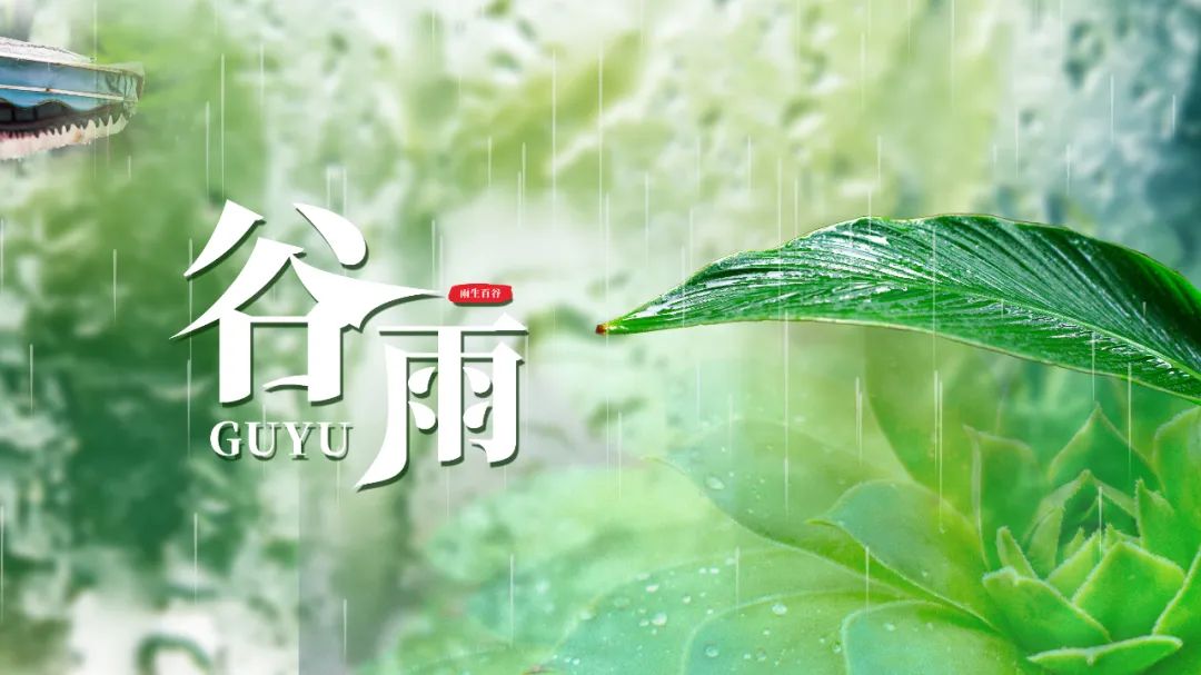 Daily health care-Shenzhen Xingyin Pharmaceutical Co., LTD