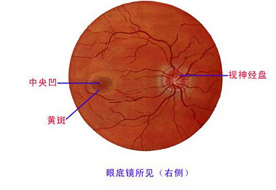 Disease of venous system-Shenzhen Xingyin Pharmaceutical Co., LTD