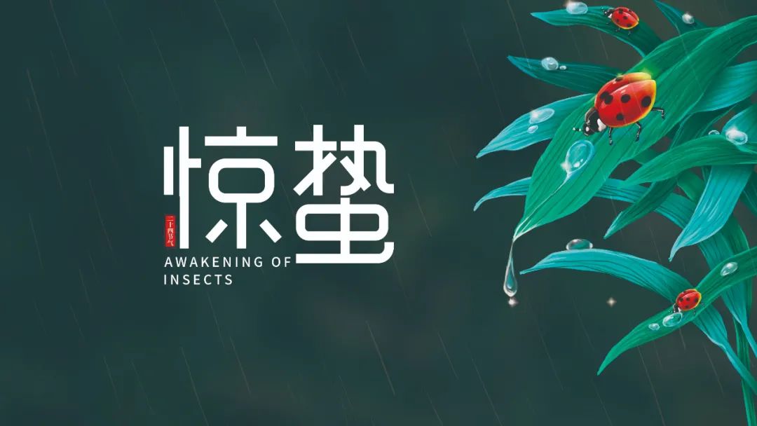 一样平常保健-lm体育