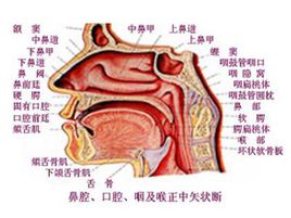患者之家-lm体育