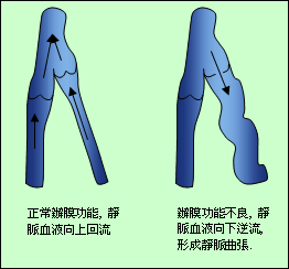 患者之家-lm体育